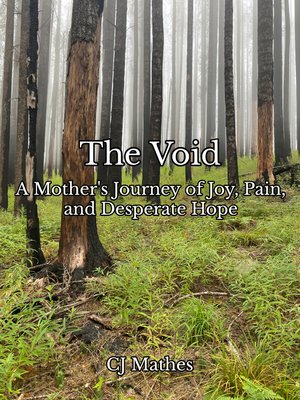 cover image of The Void a Mother's Journey of Joy, Pain, and Desperate Hope
